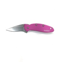 Kershaw Chive Pink Pocket Knife