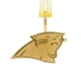 14K Carolina Panthers Charm