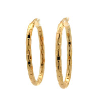 10K Gold Oblong Hoop Earrings