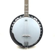 Washburn Banjo