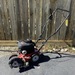 Troybilt Edger