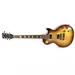 Gibson Les Paul Standard Electric Guitar